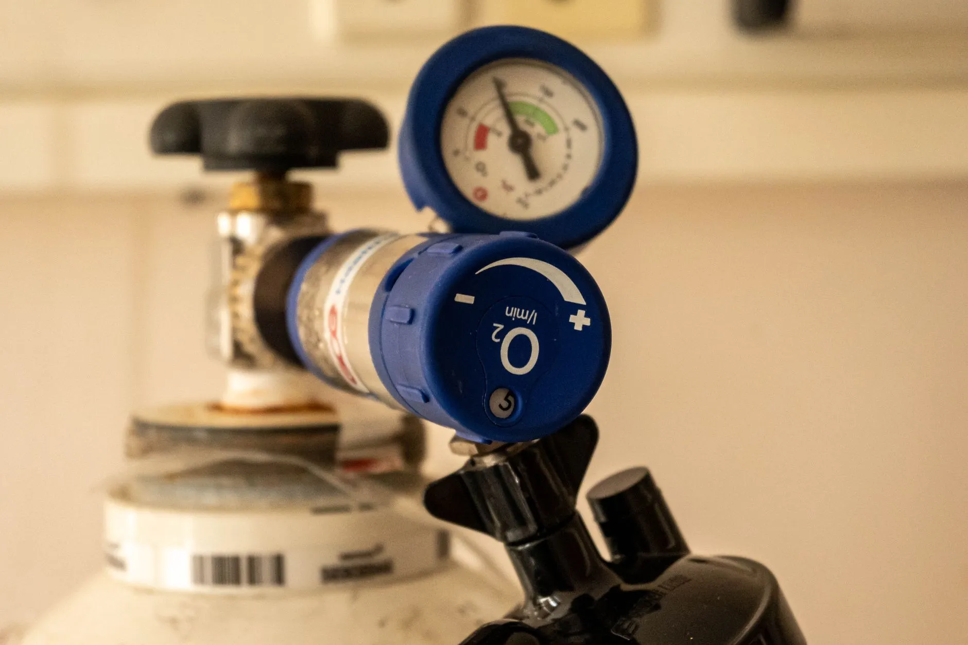 2025年餐饮连锁品牌孵化趋势：从0到1的体系搭建要点解析