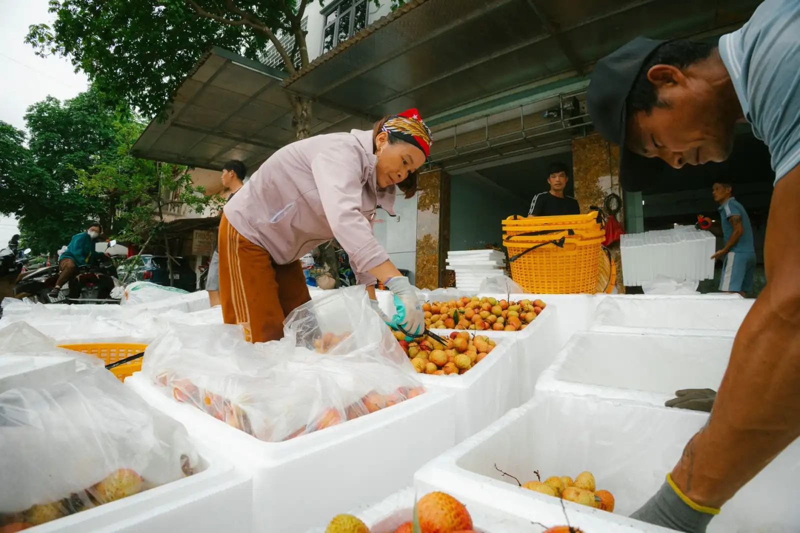 餐饮品牌连锁孵化全流程解析：从品牌定位到体系搭建